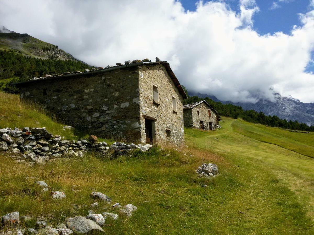 Casa Zebrusius - Zebrusius'S App Διαμέρισμα Valfurva Εξωτερικό φωτογραφία